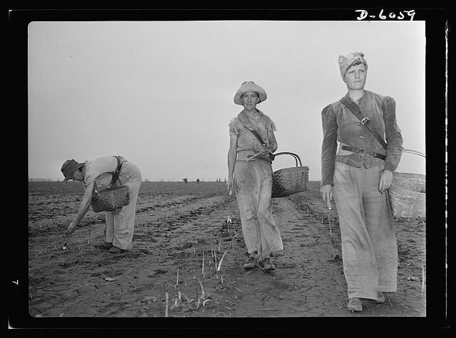 HIST 390 women in war.jpg HIST 390 women in war.jpg