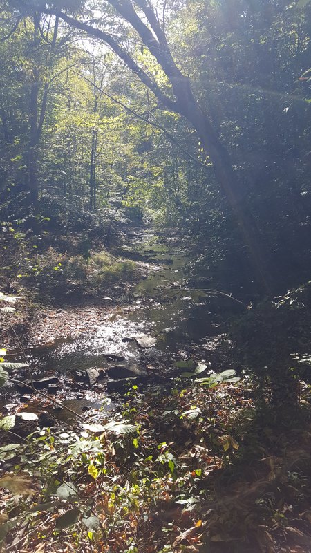 20191011_151745.jpg 20191011_151745.jpg