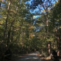 PW Park 1.jpg