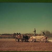 Oat Fields.jpg