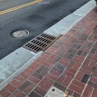 IMG_6026.jpeg