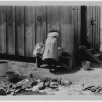 still image 1.jpg
