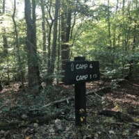 PW Park 4.jpg