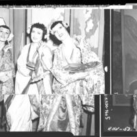 the mikado.jpg