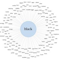 Black Links.JPG