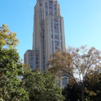 Cathy 1.jpg