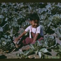 childlaborer2.jpg