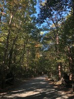 PW Park 1.jpg