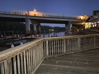 IMG_1293.jpg