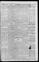 The Sentinel Journal.jpg