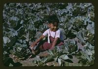 childlaborer2.jpg
